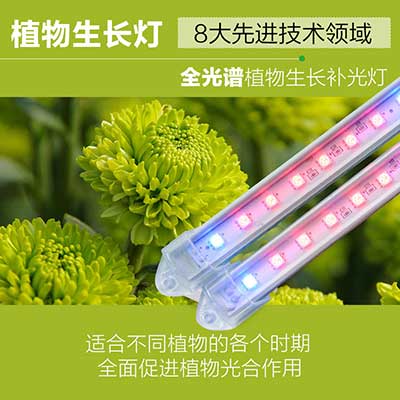 led植物生长灯